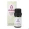 Sjankara Kaneelbast Ess. Olie Bio 5Ml - Product 2