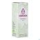 Sjankara Ravintsara Ess. Olie Bio 11Ml