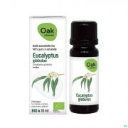 Oak Ess Olie Eucalyptus globulus 10Ml Bio - Product 1