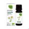 Oak Hle Ess Camomille Matricaire 5ml Bio