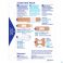 Hansaplast Pansement Hand Mix Pack (20) - Dos 1