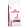 Royal Canin Dog Renal Dry 2kg