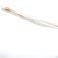 Fagron Sonde Uretr.bal Rusch Ch12 5Ml/15Ml - Product 1
