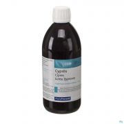 Pileje Phytostandard Cypres 500 ml - Vue détail 1