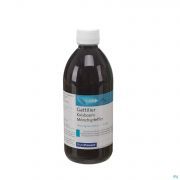 Pileje Phytostandard Kuisboom Vlb Extract 500Ml - Detail 1