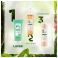 Klorane Corps gel Douche Seve Bambou 200 ml - Utilisation 2