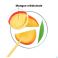 Klorane Capilaire Creme Jour Mangue 125 ml - Utilisation 6