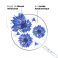 Klorane Bleuet Patch Defatiguant Express 7 X 2 - Utilisation 6