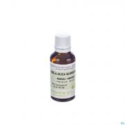 Pranarom Eo Niaouli Bio 30Ml - Detail 1