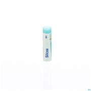 Silicea Mk Gl Boiron