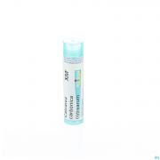 Calcarea Carbonica Ostrearum Xmk gr 4G Boiron - Detail 1