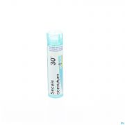 Secale Cornutum 30K gr 4G Boiron - Detail 1