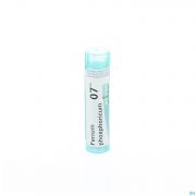 Boiron Unda granules Ferrum Phosphoricum 7 Ch - Vue détail 1