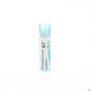 Boiron Unda granules Phosphoricum Acidum 7 Ch - Vue détail 1