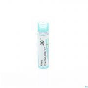 Boiron Unda granules Rhus Toxicodendron 30 Ch 4 g - Vue détail 1