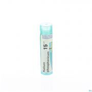 Kalium Phosphoricum 15Ch gr 4G Boiron - Detail 1