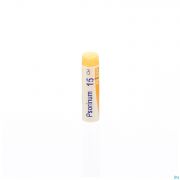 Psorinum 15ch Gl Boiron