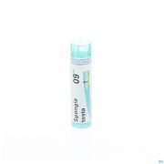 Spongia Tosta 9Ch gr 4G Boiron - Detail 1