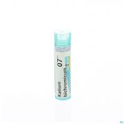 Kalium Bichromicum 7Ch gr 4G Boiron - Detail 1