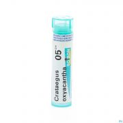 Crataegus Oxyacantha 5Ch gr 4G Boiron - Detail 1