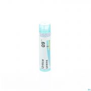 Urtica Urens 9Ch gr 4G Boiron - Detail 1