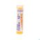 Arnica Montana 15ch Gr 4g Boiron