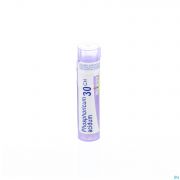 Boiron Unda granules Acidum Phosphoricum 30 Ch - Vue détail 1