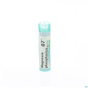 Boiron Unda granules Magnesium Phosphorica 7 Ch 4 g - Vue détail 1