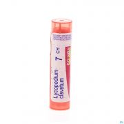 Lycopodium Clavatum 7Ch gr 4G Boiron - Detail 1