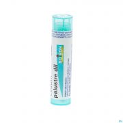 Ledum Palustre 200K gr 4G Boiron - Detail 1