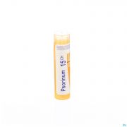 Psorinum 15ch Gr 4g Boiron