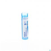 Kalium Bichromicum 9Ch gr 4G Boiron - Detail 1