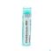 Chelidonium Majus 200K gr 4G Boiron - Detail 1