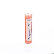 Pyrogenium 7Ch gr 4G Boiron - Detail 1