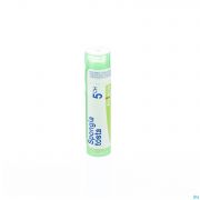 Spongia Tosta 5Ch gr 4G Boiron - Detail 1