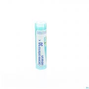 Calcarea Carbonica Ostrearum 30K gr 4G Boiron - Detail 1