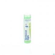 Sambucus Nigra 5Ch gr 4G Boiron - Detail 1