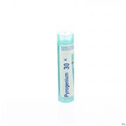 Pyrogenium 30K gr 4G Boiron - Detail 1