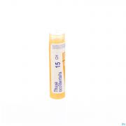 Thuya Occidentalis 15Ch gr 4G Boiron - Detail 1