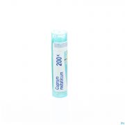 Cuprum Metallicum 200K gr 4G Boiron - Detail 1