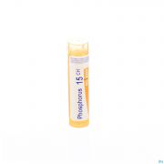 Phosphorus 15Ch gr 4G Boiron - Detail 1