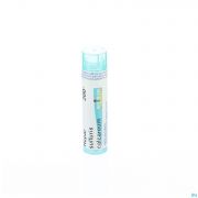 Hepar Sulfuris Calcareum 200K gr 4G Boiron - Detail 1