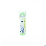 Capsicum Annuum 5Ch gr 4G Boiron - Detail 1