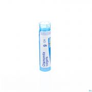 Chamomilla Vulgaris 9Ch gr 4G Boiron - Detail 1