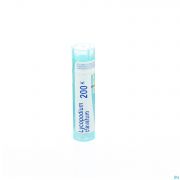 Lycopodium Clavatum 200K gr 4G Boiron - Detail 1
