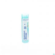 Symphytum Officinale 30K gr 4G Boiron - Detail 1