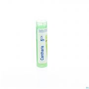 Cantharis 5Ch gr 4G Boiron - Detail 1