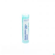 Boiron Unda granules Calcium Carbonicum 200 K - Vue détail 1