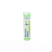 Hepar Sulfuris Calcareum 5Ch gr 4G Boiron - Detail 1