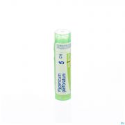 Hypericum Perforatum 5Ch gr 4G Boiron - Detail 1